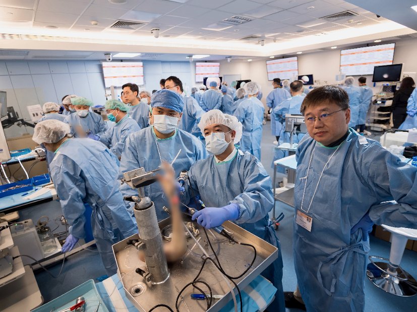 HK Wrist Course 2024 - Workshops  - 70 of 241
